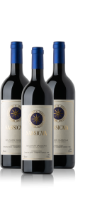 Sassicaia Entdecker-Paket – Halbe Flaschen