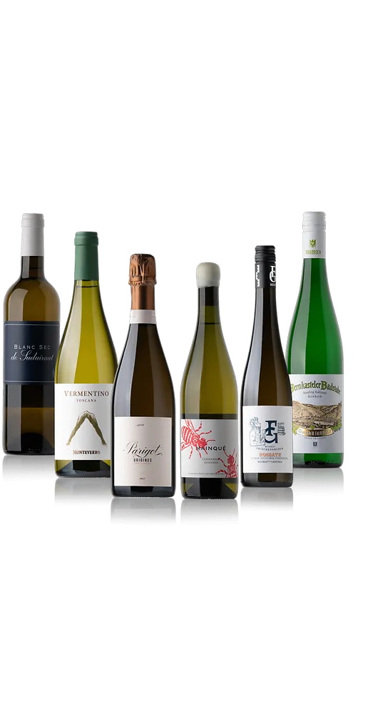 Sommerpaket Exklusiv