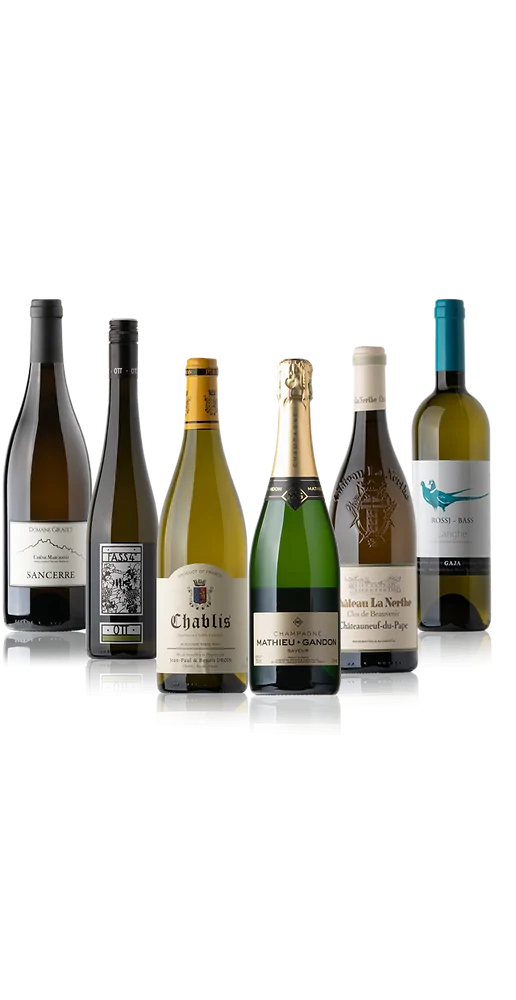 Willkommenspaket – Exklusive Weißwein-Auswahl