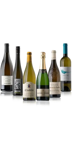 Willkommenspaket – Exklusive Weißwein-Auswahl